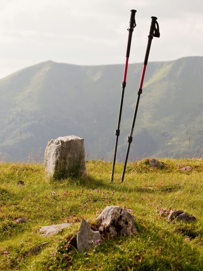 Carbon Fiber Trekking Poles (Pair)